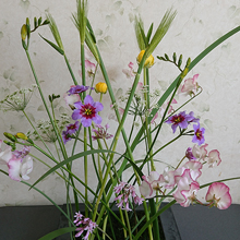 プリザーブドフラワー