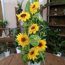 プリザーブドフラワー