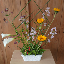 プリザーブドフラワー