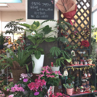 フラワーショップ西川店内写真